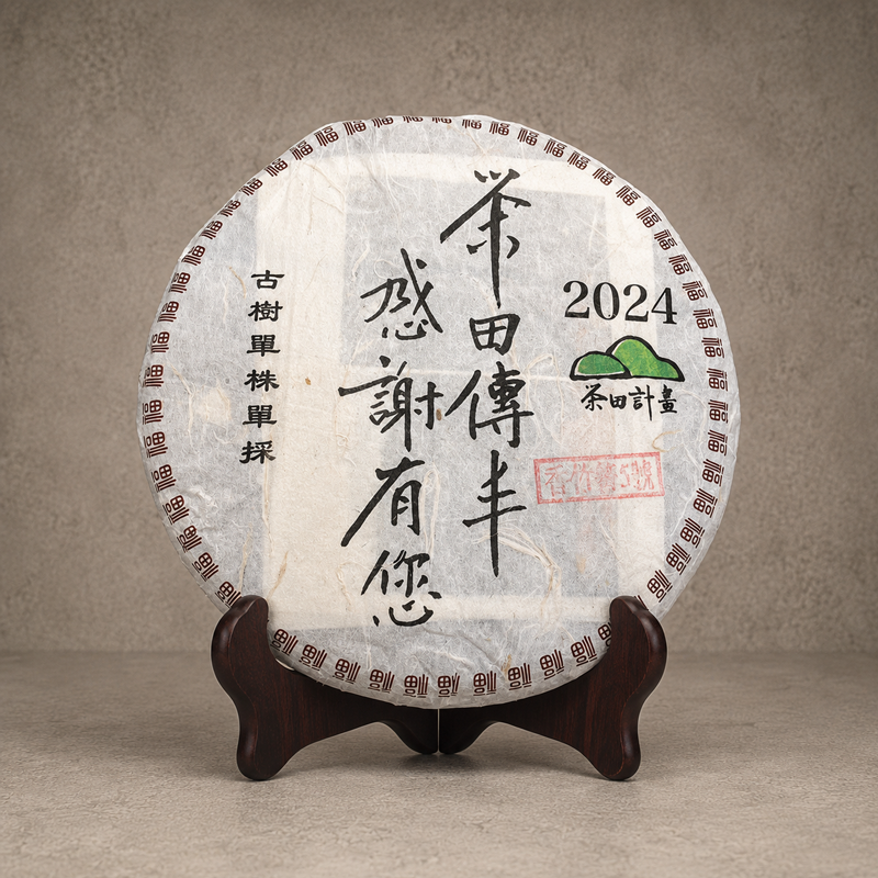 2024年 單株古樹青餅(香竹箐古樹-編號5)